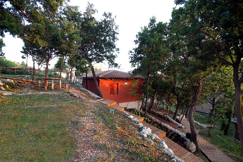Guesthouse Harmonia image