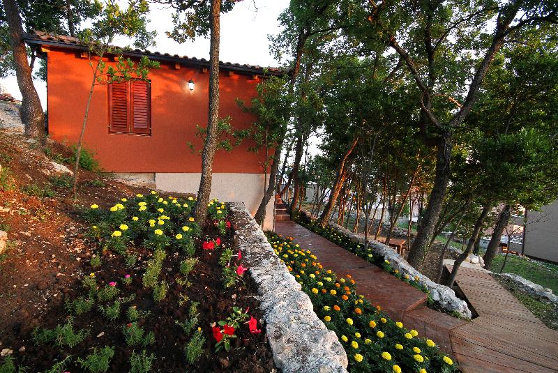Guesthouse Harmonia image