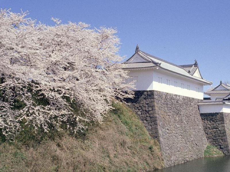 Richmond Hotel Yamagata Ekimae image