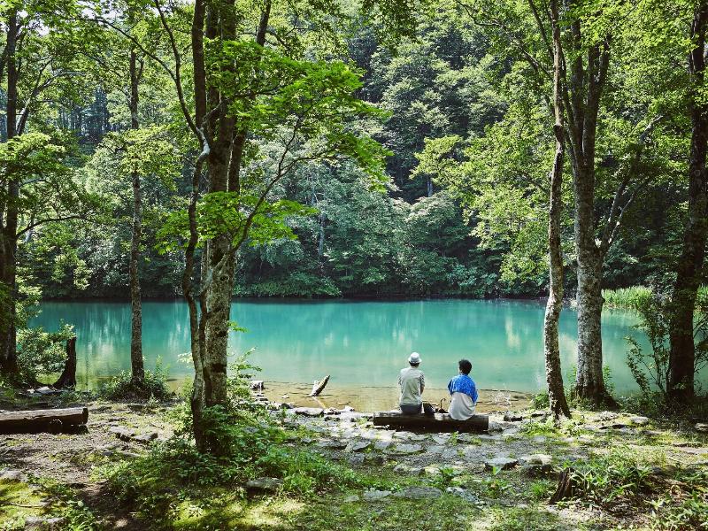 Iwashimizu Ryori no Yado Kinosato image