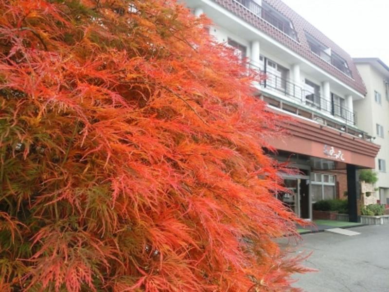 Lakeland Hotel Mizunosato image