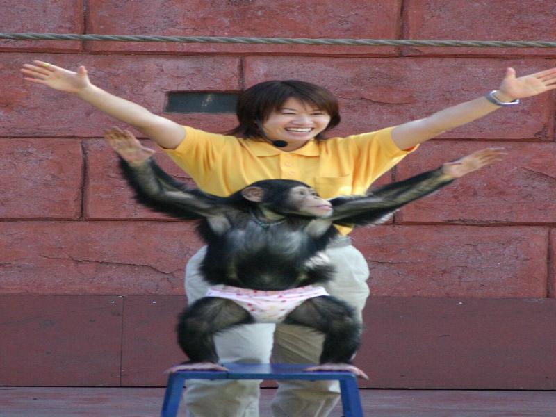 Atagawakan image