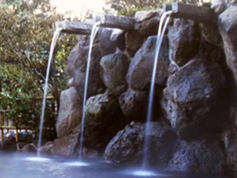 Hotel Sansuikan image