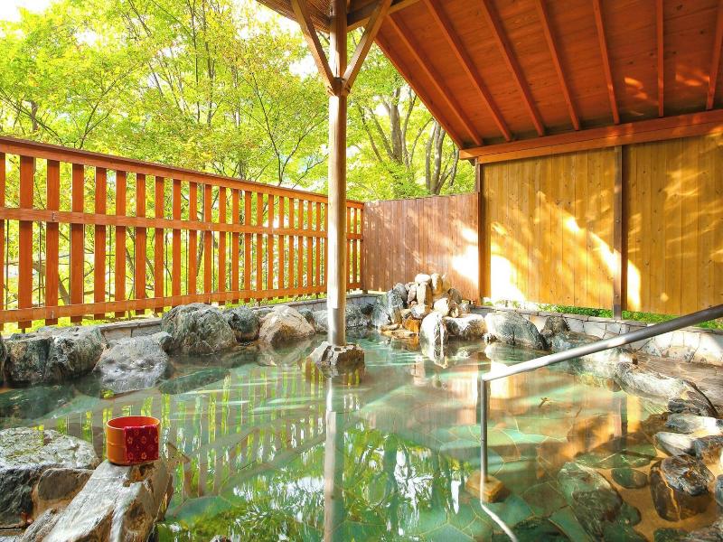Hotel Kinugawa Gyoen image