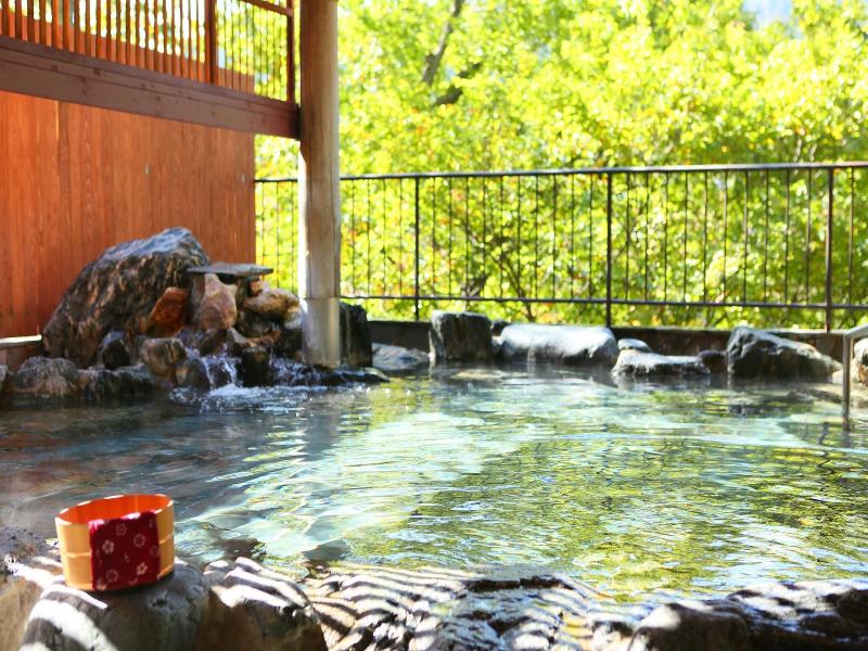 Hotel Kinugawa Gyoen image