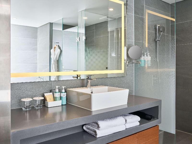 Novotel Ambassador Seoul Dongdaemun Hotel image