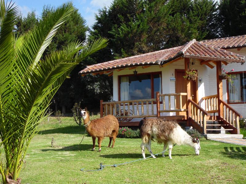 Posada Mirolindo — photo 3
