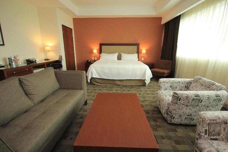 Holiday Inn & Suites Leon Plaza Mayor image