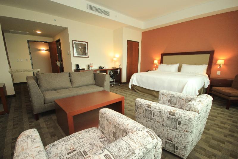 Holiday Inn & Suites Leon Plaza Mayor image