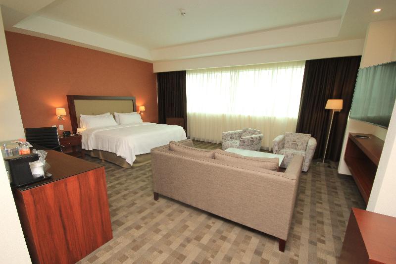 Holiday Inn & Suites Leon Plaza Mayor image