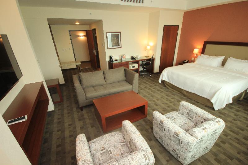 Holiday Inn & Suites Leon Plaza Mayor image
