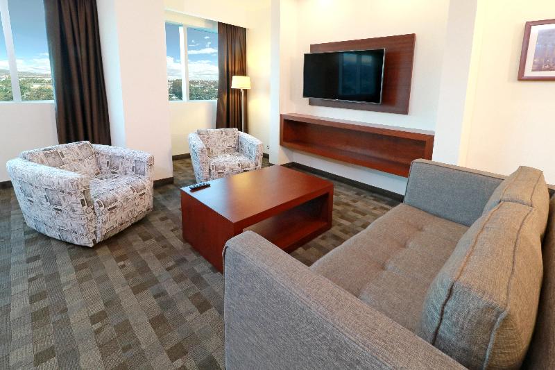 Holiday Inn & Suites Leon Plaza Mayor image