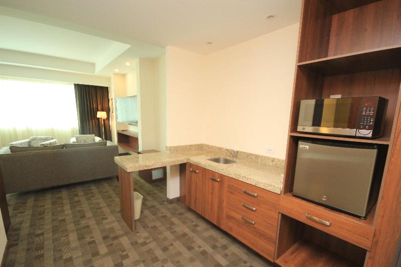 Holiday Inn & Suites Leon Plaza Mayor image