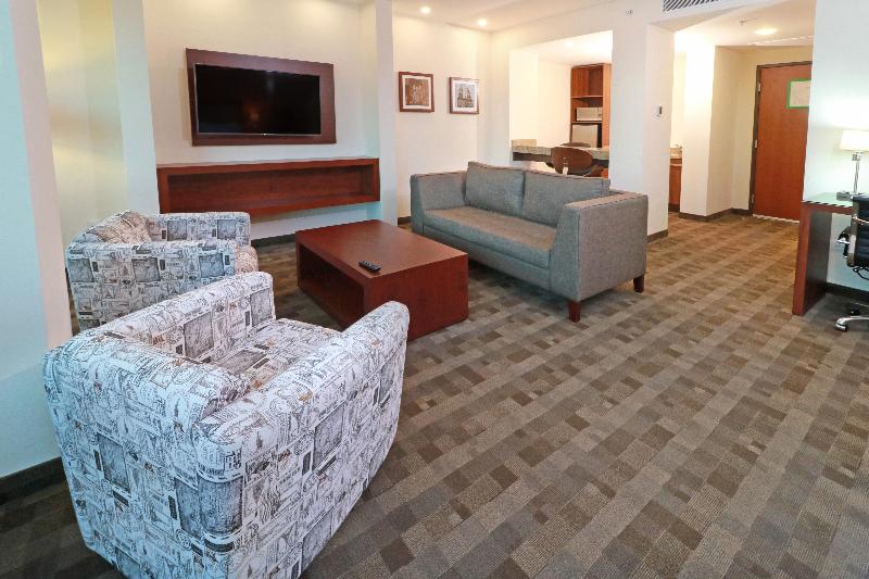 Holiday Inn & Suites Leon Plaza Mayor image