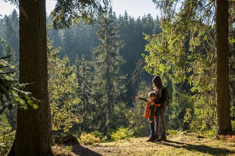 Holiday Inn Villingen-Schwenningen