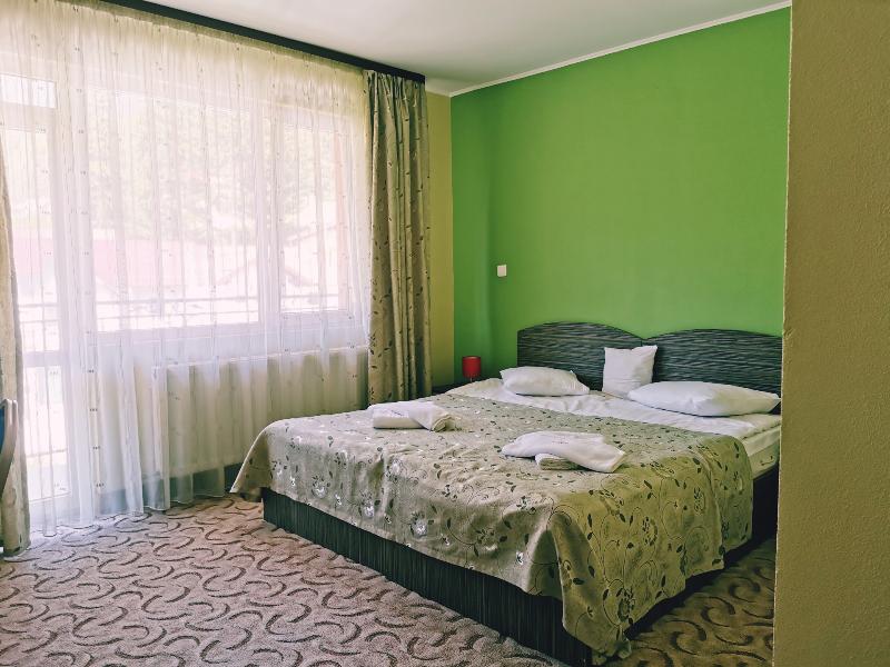 Iri Busteni Hotel image
