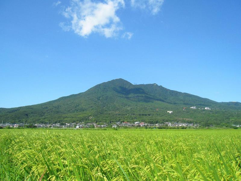 Hotel JAL City Tsukuba image