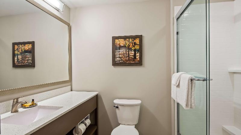 Best Western Plus Bolivar Hotel & Suites image
