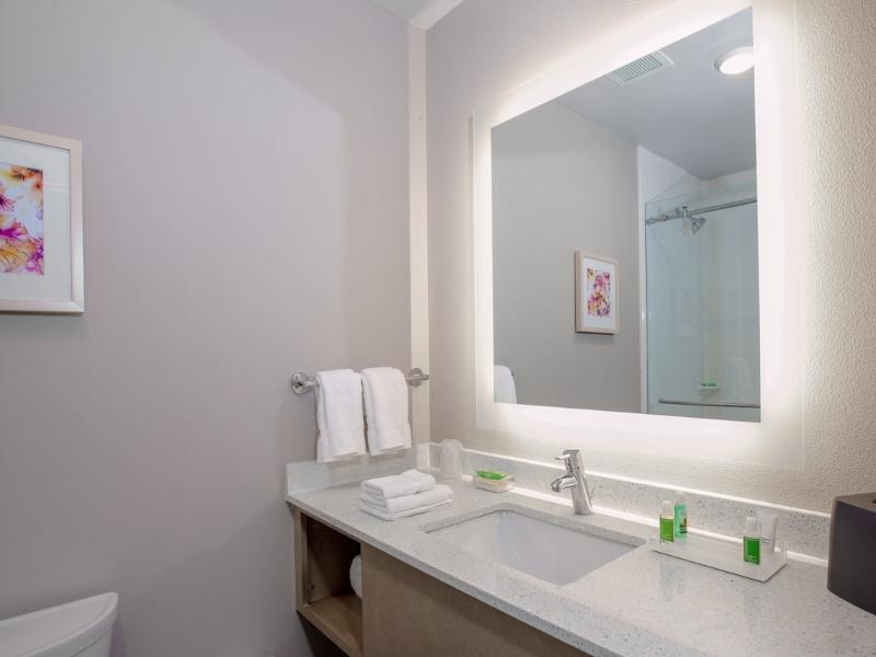 Holiday Inn Tallahassee E Capitol - Univ image