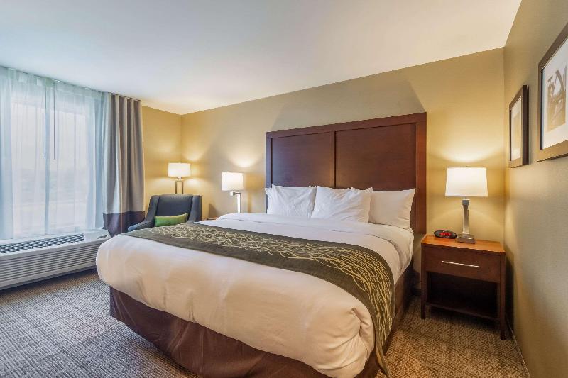 Hotel Comfort Inn & Suites - Harrisburg Airport - Hershe