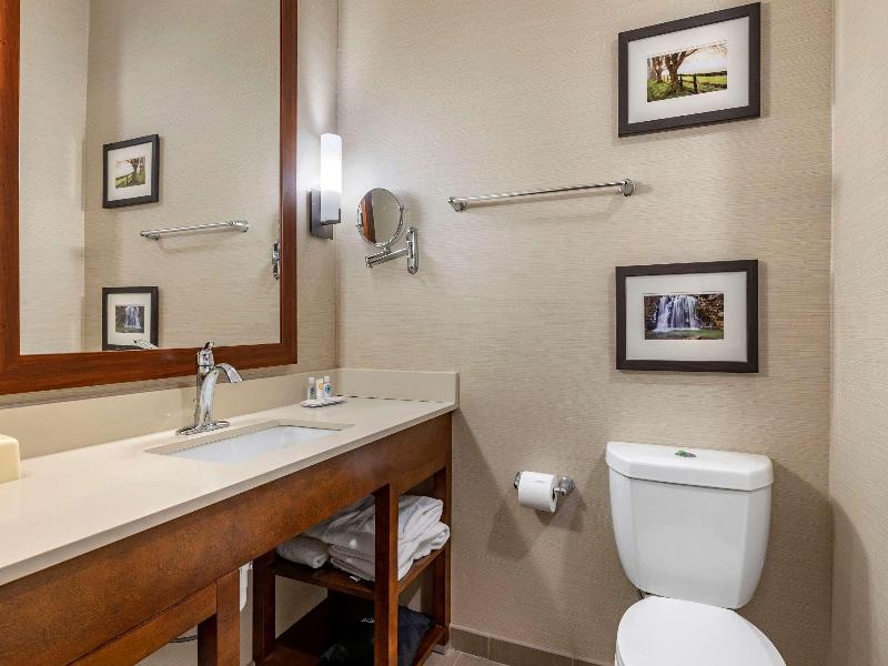 Comfort Suites Columbus Airport image