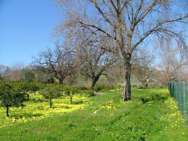 Agriturismo Villa Vittoria image