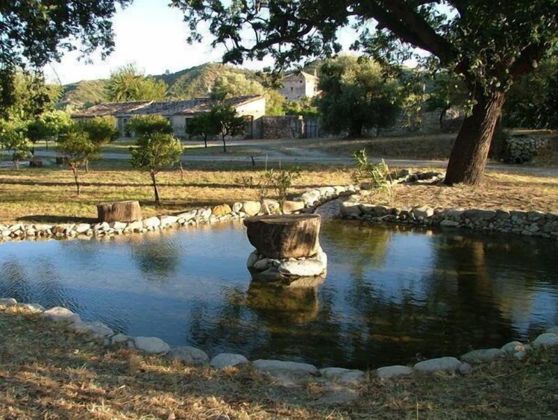 Agriturismo Villa Vittoria image