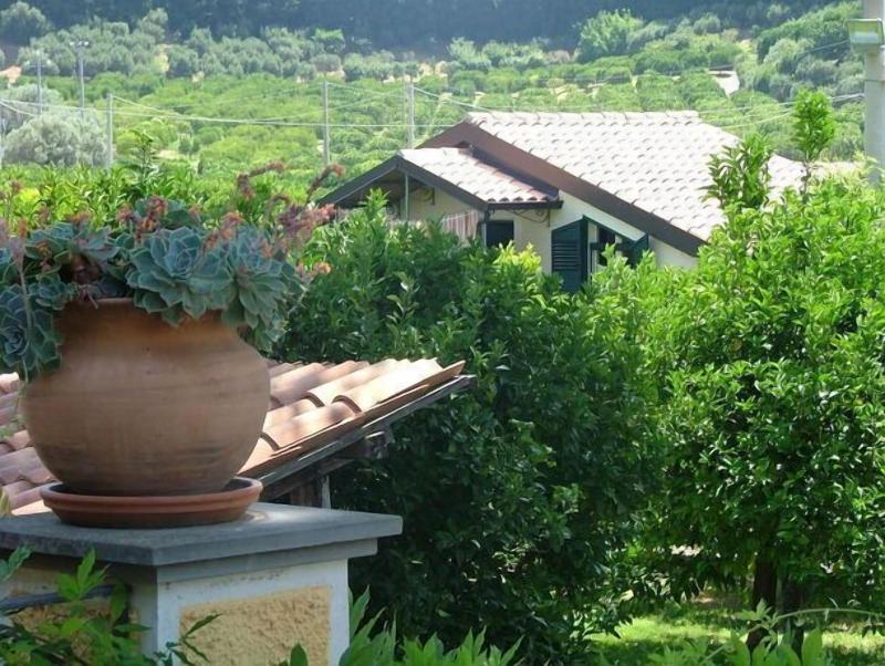 Agriturismo Villa Vittoria image