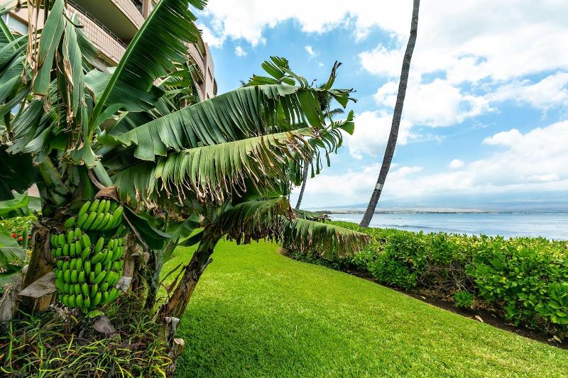 Maui Island Sands Resort