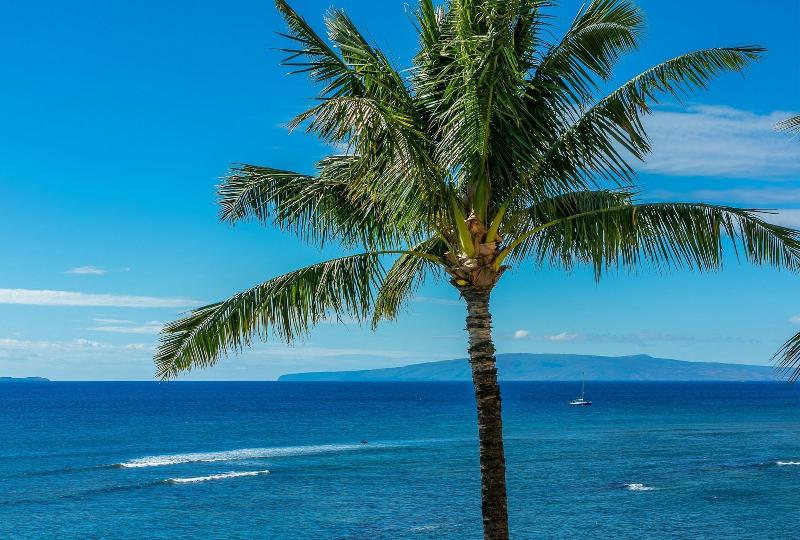 Maui Island Sands Resort