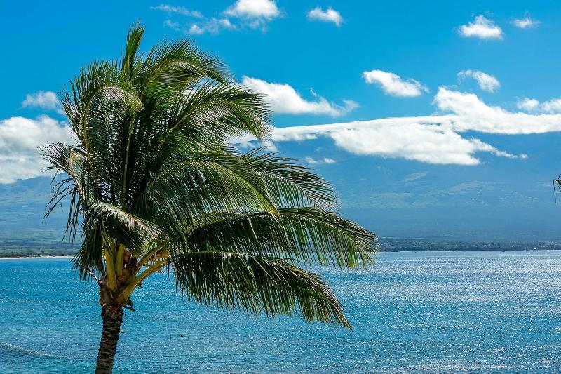 Maui Island Sands Resort