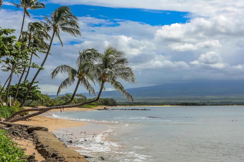 Maui Island Sands Resort
