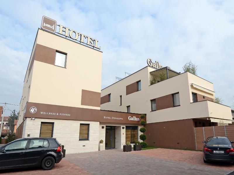 Gallus image