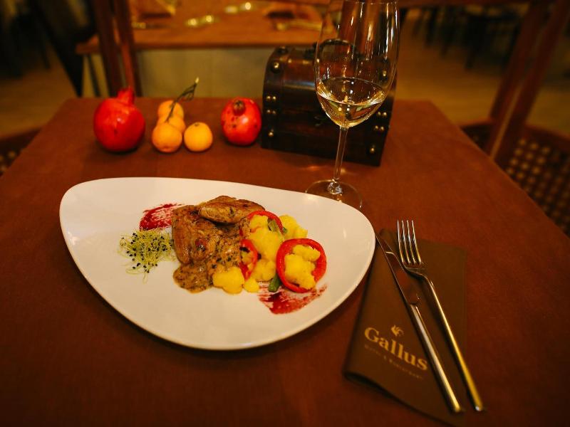 Gallus image