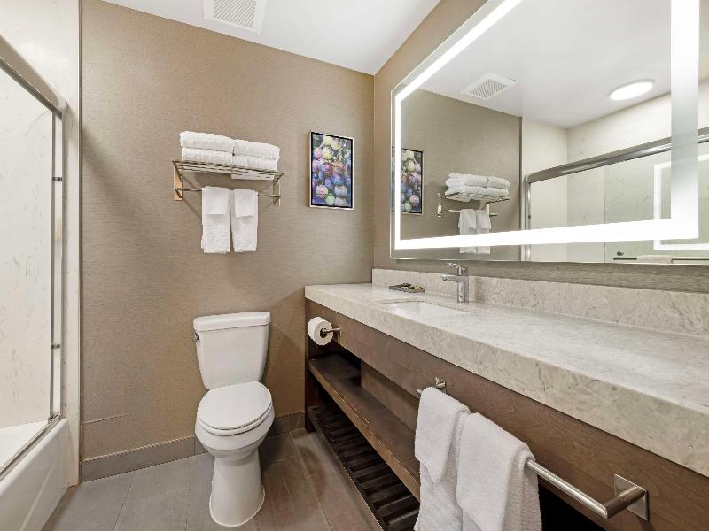 Bw Plus Temecula Wine Country Hotel & Suites image