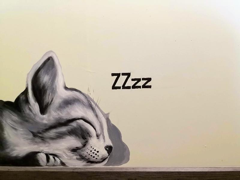 Asleep by Lantana image