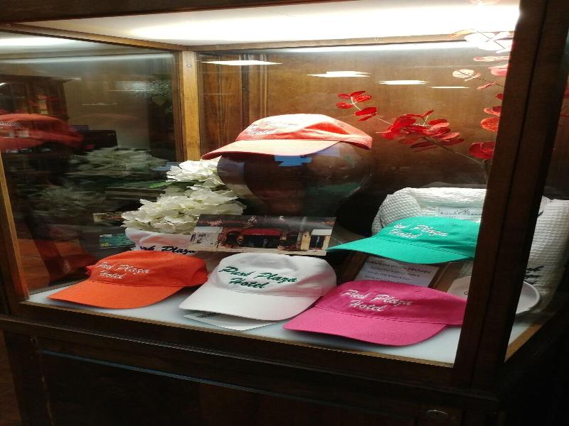 Park Plaza Hotel image