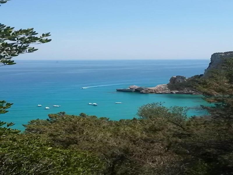 Hotel Gli Ulivi image