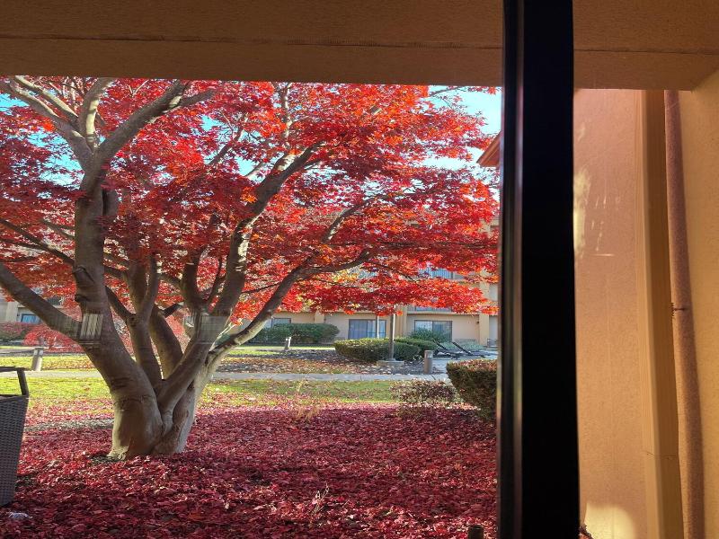 Courtyard Fishkill image