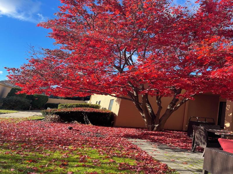 Courtyard Fishkill image