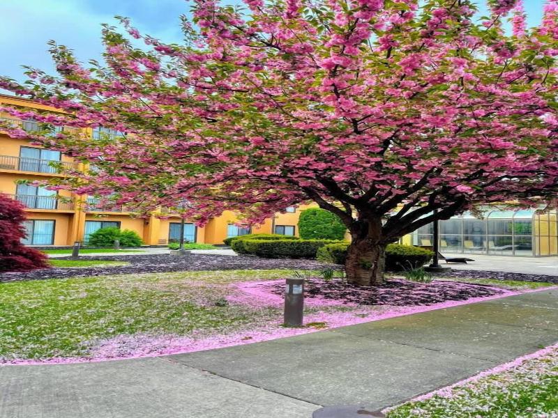 Courtyard Fishkill image