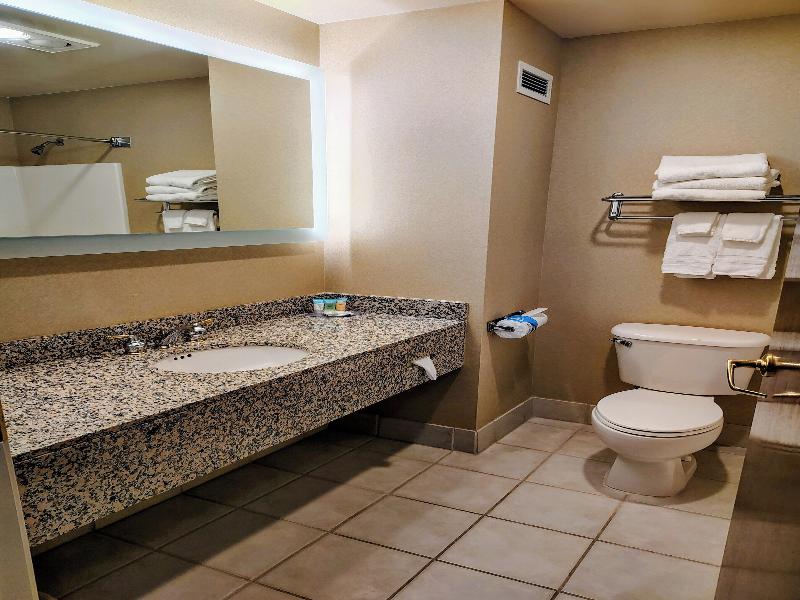 Medallion Inn and Suites image
