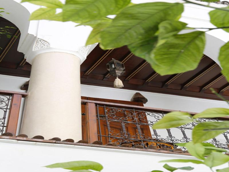 Riad Marelia image