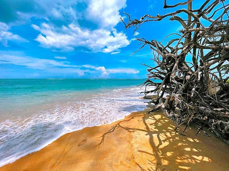 Ideo Phuket Hotel image