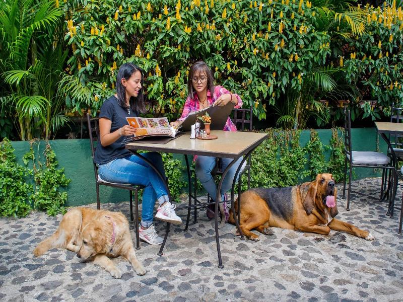 Convento Santa Catalina Hotel image