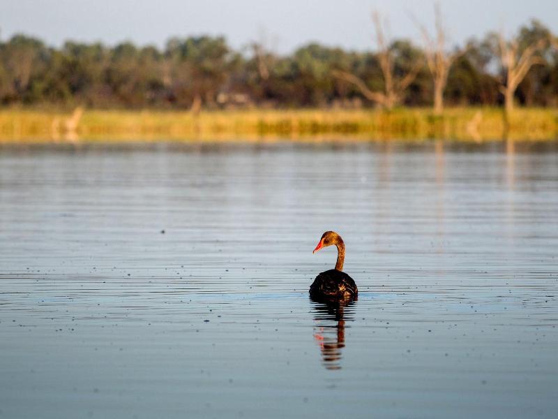 Discovery Parks - Lake Bonney image