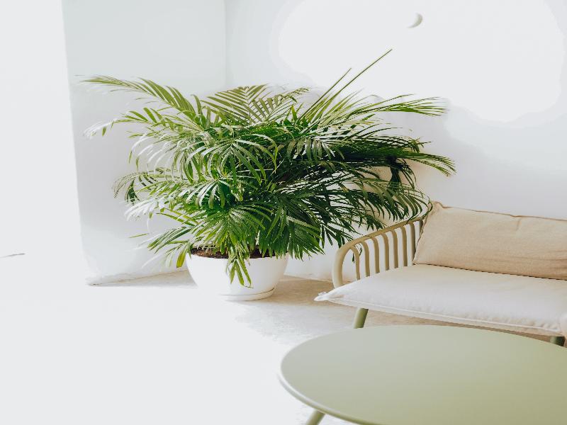Motion Chueca Hostel image