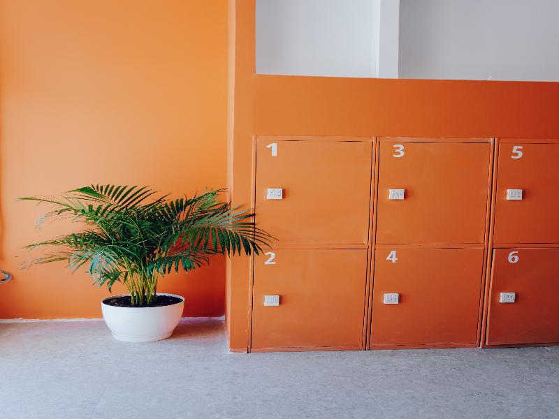 Motion Chueca Hostel image