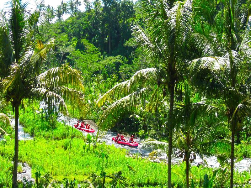 The Apurva Kempinski Bali image