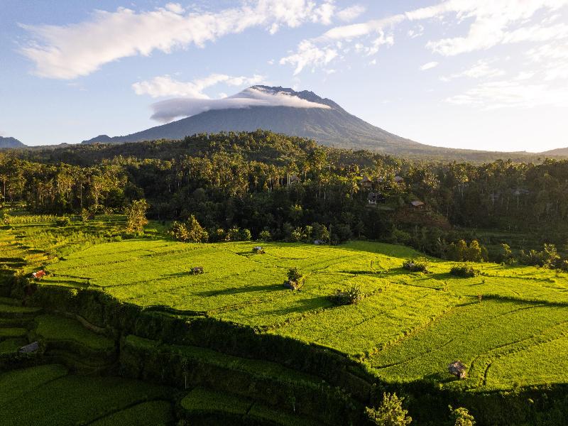 The Apurva Kempinski Bali image